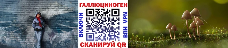 что такое мега маркетплейс Псилоцибиновые грибы ЛСД Костерёво